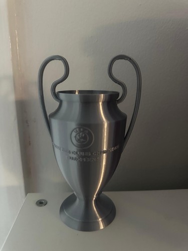 Uefa champions league - champions,