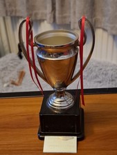 Metal European Cup Trophy