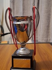 Metal European Cup Trophy